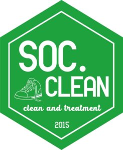 logo soc2 - Copy